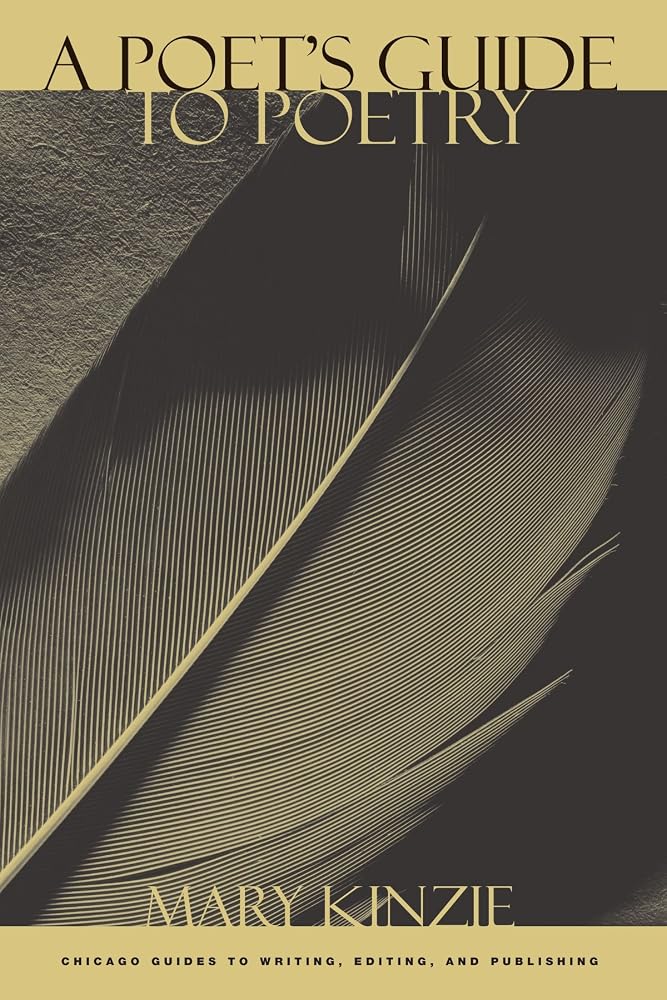 A Poet's Guide to Poetry (Chicago Guides to Writing, Editing, and Publishing)
