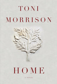 Home: A novel