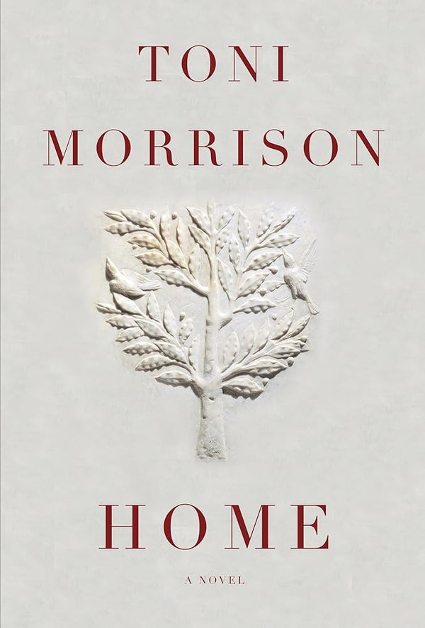Home: A novel
